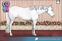 Horse Color:Silver Sable Champagne Dun Sabino Splash 