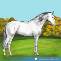 Horse Color:White Spotted Brown Mushroom Tobiano 