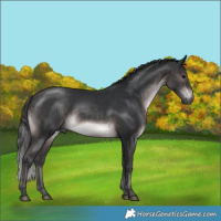 Horse Color:Platinum Brown Rabicano 