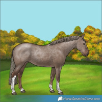 Horse Color:Liver Red Dun Mushroom Tobiano 