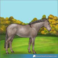 Horse Color:Liver Red Dun Mushroom