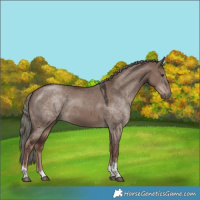 Horse Color:Liver Red Dun Mushroom Tobiano 