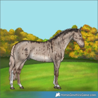Horse Color:Liver Red Dun Mushroom Tobiano Brindle 