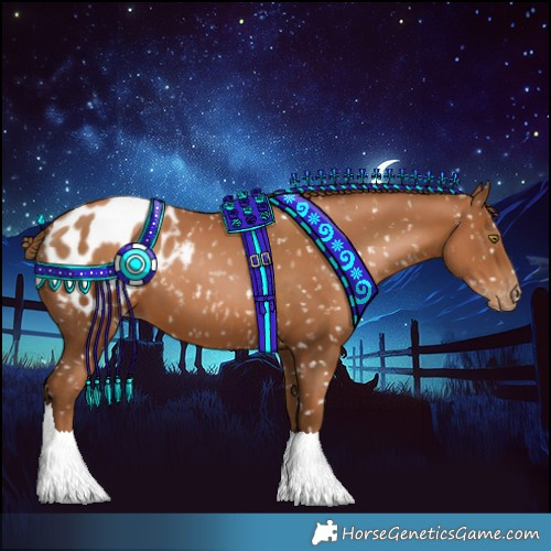 Horse Color:Gray Chestnut Pearl Appaloosa 