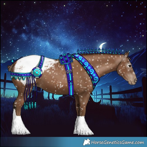 Horse Color:Gray Black Pearl Appaloosa