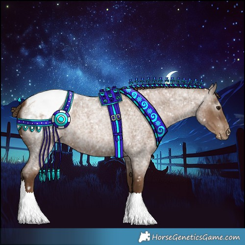 Horse Color:Gray Blue Roan Pearl Appaloosa 