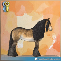 Horse Color:Buckskin Dun 