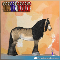 Horse Color:Gray Buckskin Dun