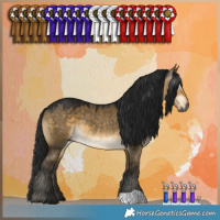 Horse Color:Gray Buckskin Dun 