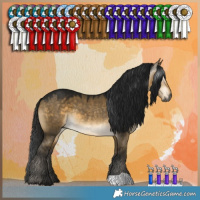 Horse Color:Gray Buckskin Dun 