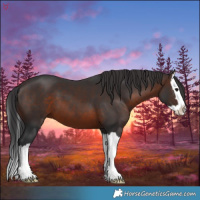 Horse Color:Brown Splash 