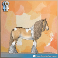 Horse Color:Chocolate Palomino Dun Tobiano 