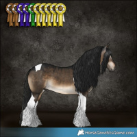 Horse Color:Gray Brown Dun Tobiano 