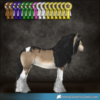 Horse Color:Gray Brown Dun Tobiano