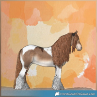 Horse Color:Liver Red Dun Tobiano 