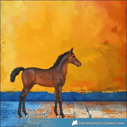 Horse Color:Brown 