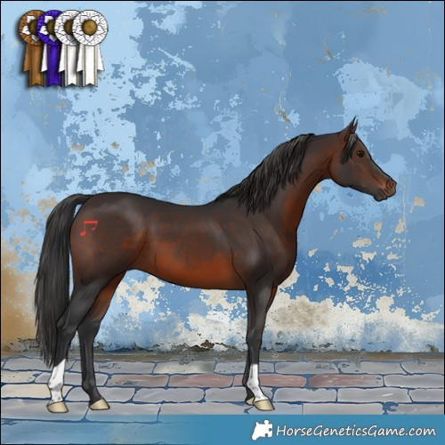 Horse Color:Brown 