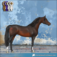 Horse Color:Brown 