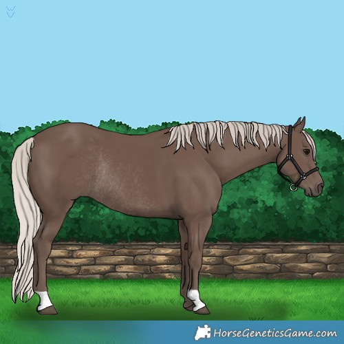 Horse Color:Silver Black Rabicano 