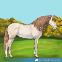 Horse Color:Buckskin Pearl Dun 