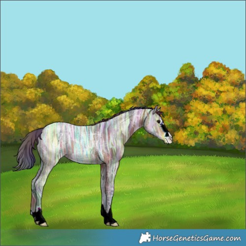 Horse Color:Nacre Bay Ice 