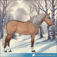 Horse Color:Silver Bay Dun 