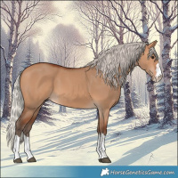 Horse Color:Silver Bay Dun