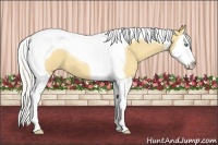 Horse Color:Silver Amber Cream Champagne Dun Splash Tobiano 