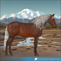 Horse Color:Silver Brown 