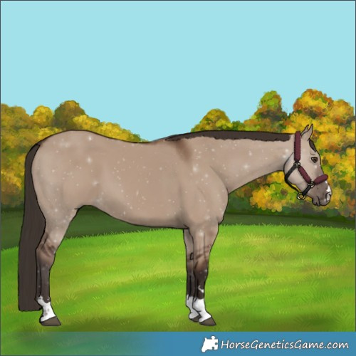 Horse Color:Liver Red Dun 