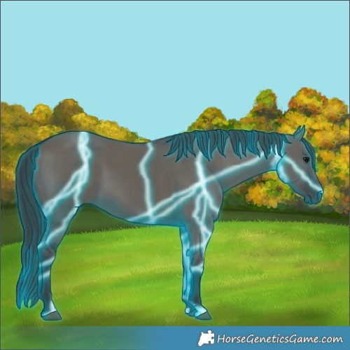 Horse Color:Thunderstruck Grullo 