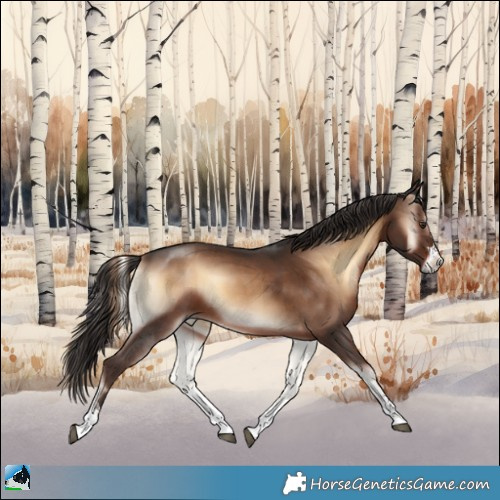 Horse Color:Liver Red Onyx 