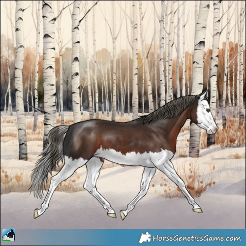 Horse Color:Liver Chestnut Mushroom Splash 