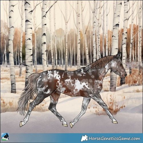Horse Color:White Spotted Liver Chestnut Ice 