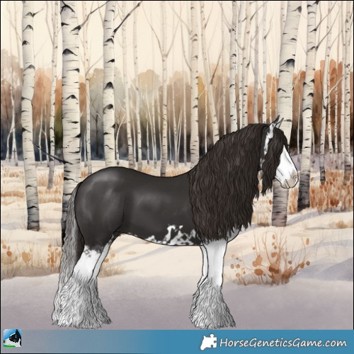 Horse Color:Liver Chestnut Splash 