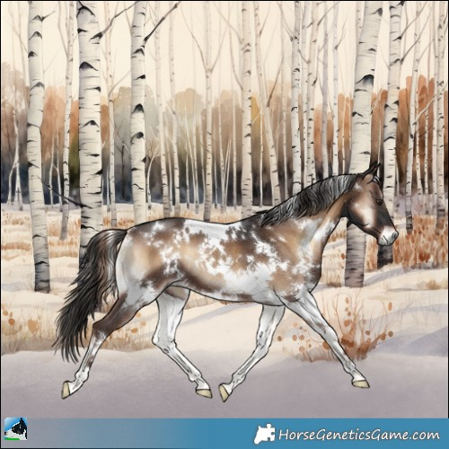Horse Color:White Spotted Liver Red Onyx 