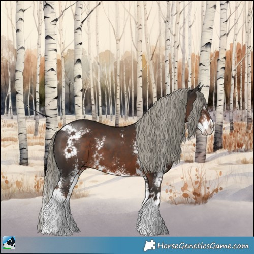 Horse Color:Liver Chestnut Mushroom Sabino 