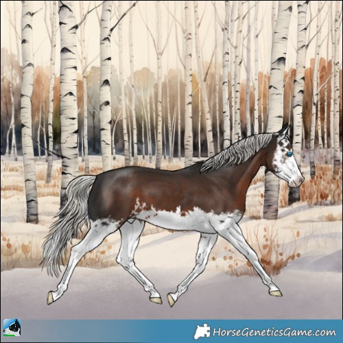 Horse Color:Liver Chestnut Mushroom Splash 