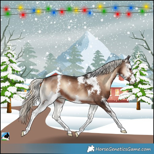 Horse Color:Liver Red Onyx Mushroom Sabino 