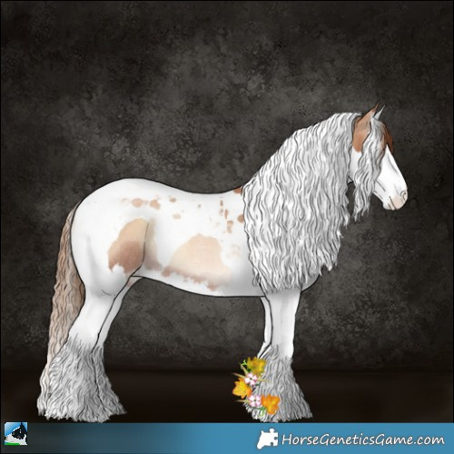 Horse Color:Red Onyx Pearl Splash Tobiano Rabicano 