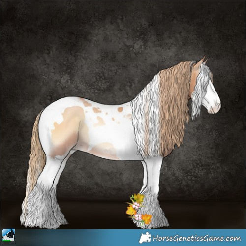 Horse Color:Red Onyx Pearl Splash Tobiano 