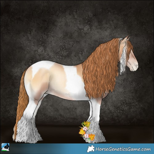 Horse Color:Red Onyx Pearl Tobiano Rabicano 