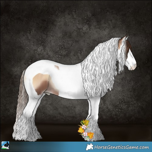 Horse Color:Liver Red Onyx Pearl Sabino Splash Tobiano 