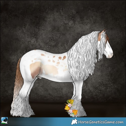 Horse Color:Red Onyx Pearl Splash Tobiano Rabicano 
