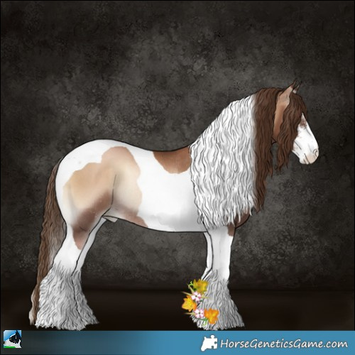 Horse Color:Liver Red Onyx Pearl Sabino Tobiano Rabicano 