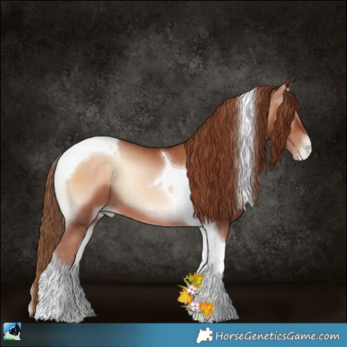 Horse Color:Bay Pearl Onyx Tobiano 