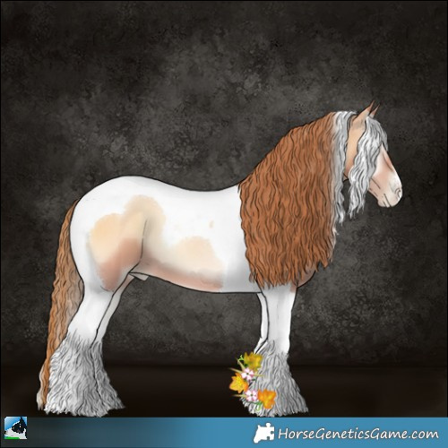 Horse Color:Bay Pearl Onyx Tobiano 