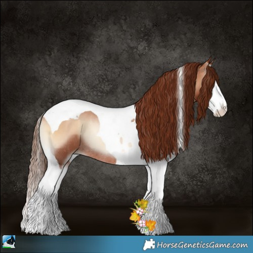 Horse Color:Brown Pearl Onyx Splash Tobiano Rabicano 