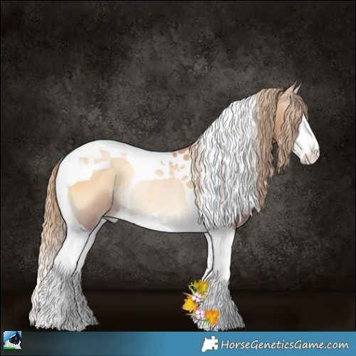 Horse Color:Red Onyx Pearl Splash Tobiano Rabicano 