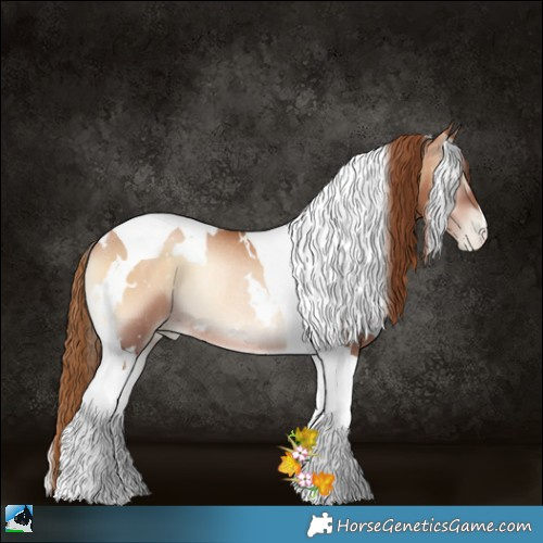 Horse Color:White Spotted Red Onyx Pearl Tobiano Rabicano 
